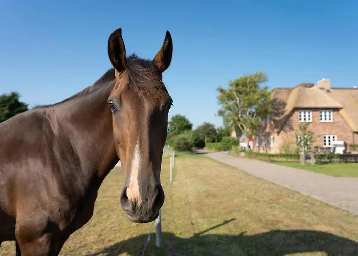 Haus Inselurlaub Hausteil 2 Oevenum